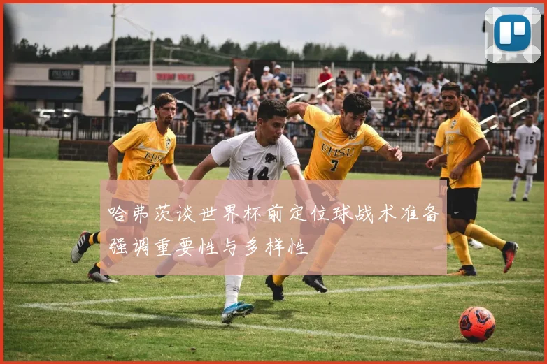 哈弗茨谈世界杯前定位球战术准备强调重要性与多样性